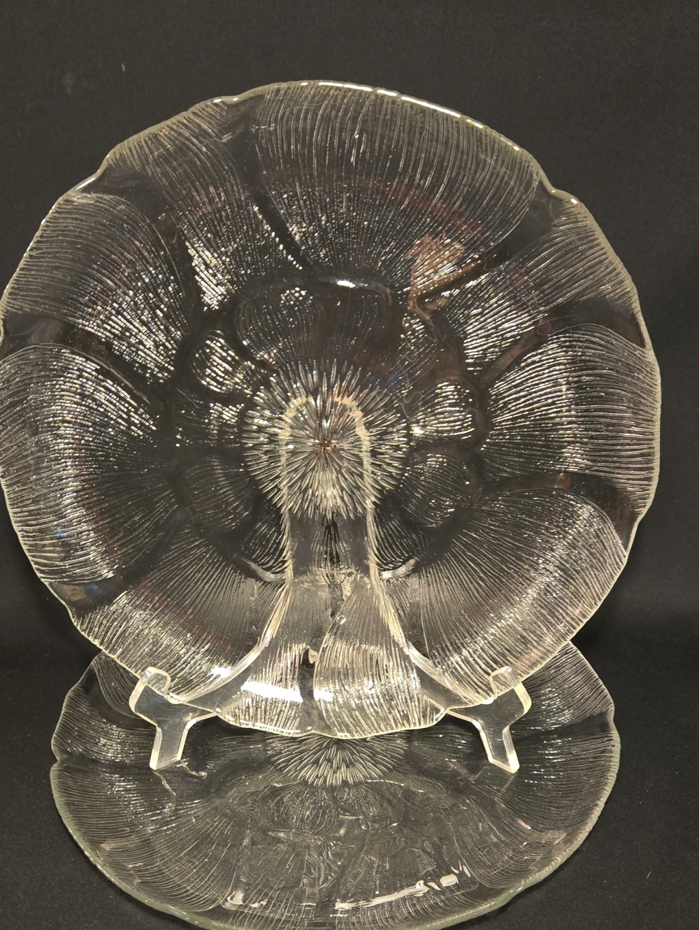 Vintage Set Of 2 "Fleur" By Arcoroc France Large Dinner Plates.